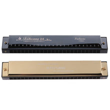 Load image into Gallery viewer, 24 Hole Tremolo Harmonica C Key Octave-tuned Mouth Organ music instrument